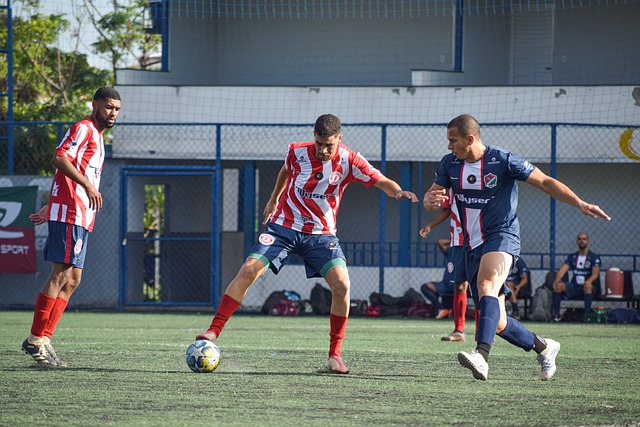 字的积累 字的积累