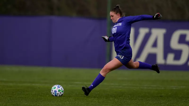 自主研发技 自主研发技